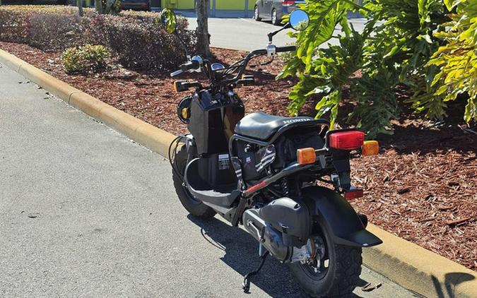 2019 Honda Ruckus