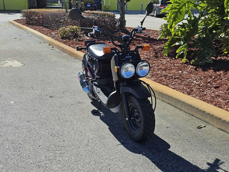 2019 Honda Ruckus