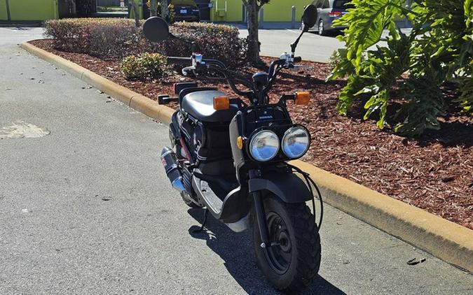 2019 Honda Ruckus