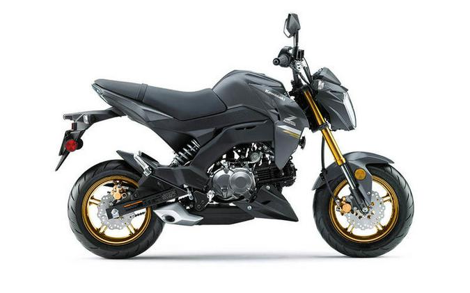 2024 Kawasaki Z125 PRO