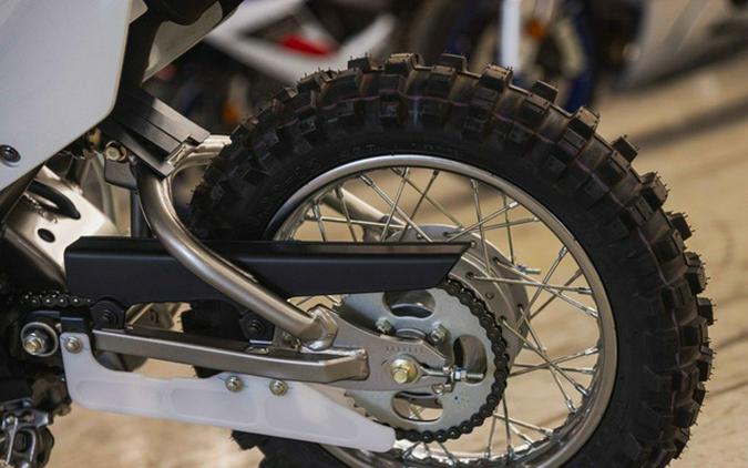 2026 Kawasaki KLX 110R L