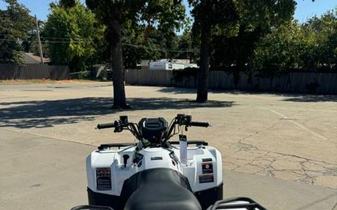 2025 Kawasaki Brute Force® 450 4x4