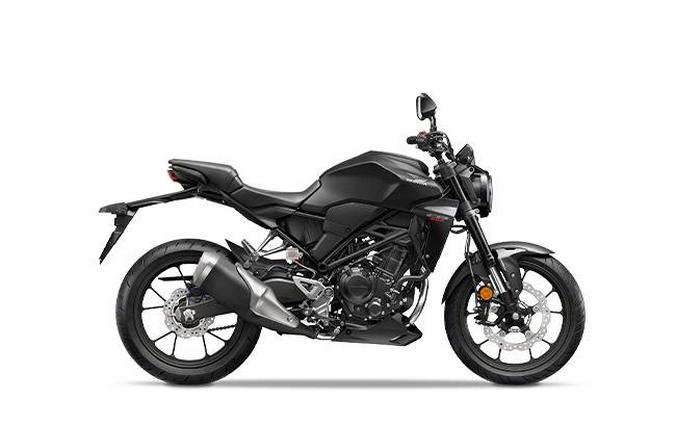 2024 Honda CB300RAR