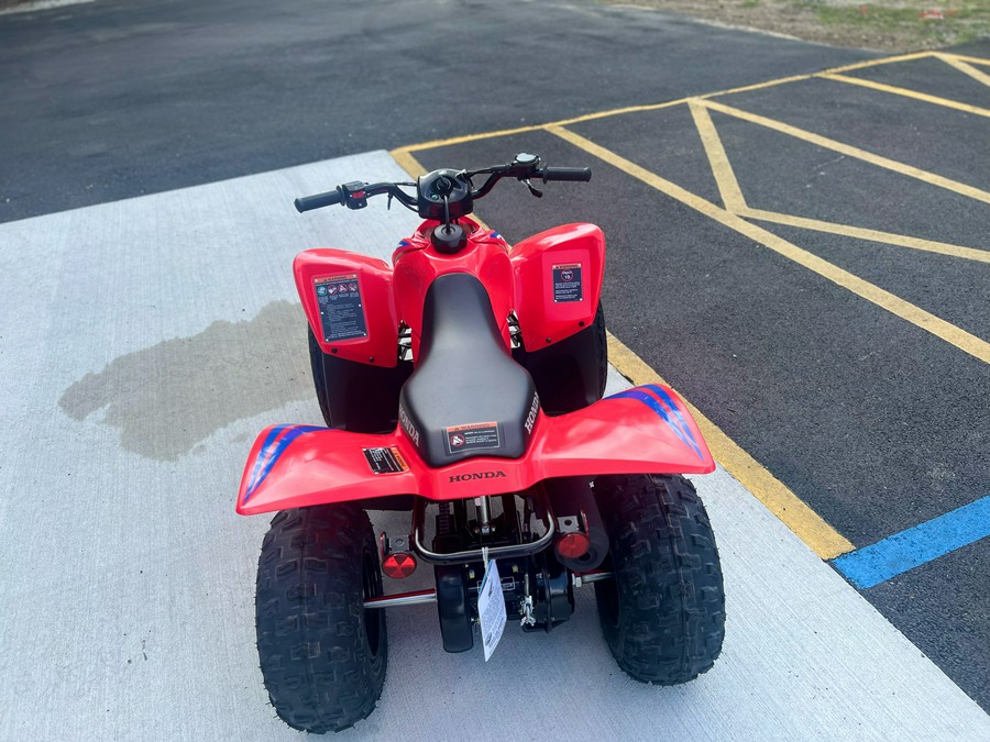 2024 Honda TRX90X