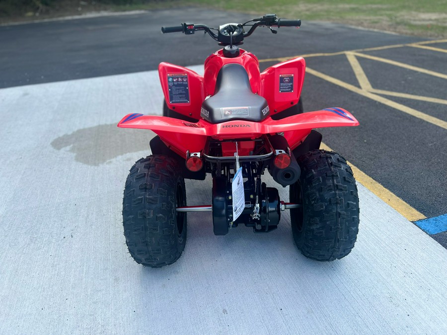 2024 Honda TRX90X