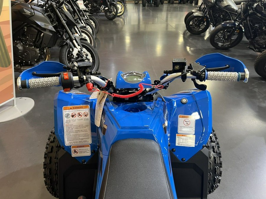 2026 Denago Powersports Trailhawk 10 FI