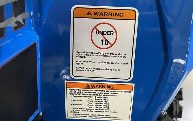 2026 Denago Powersports Trailhawk 10 FI