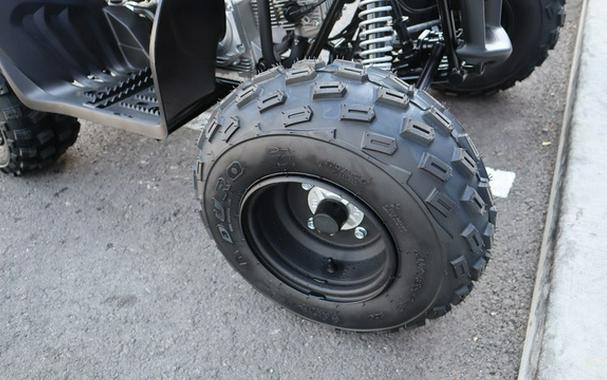 2026 Yamaha Raptor 110