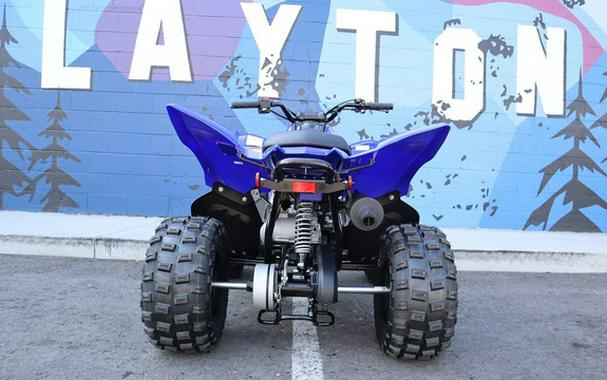 2026 Yamaha Raptor 110