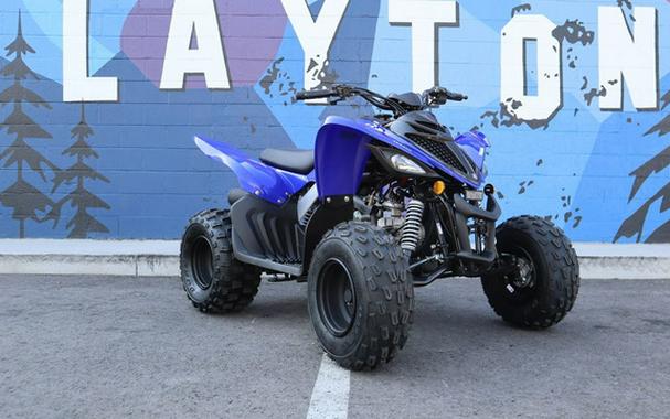 2026 Yamaha Raptor 110