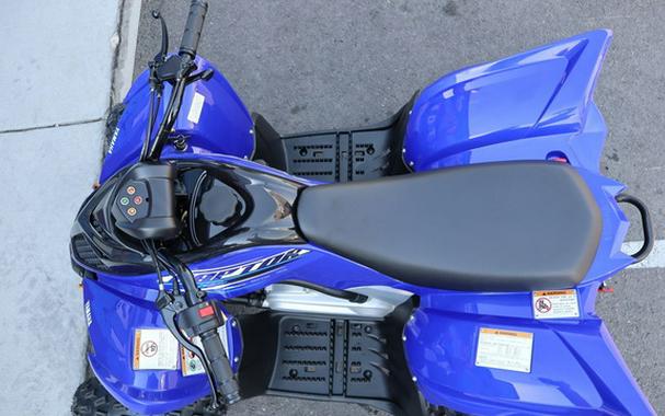2026 Yamaha Raptor 110