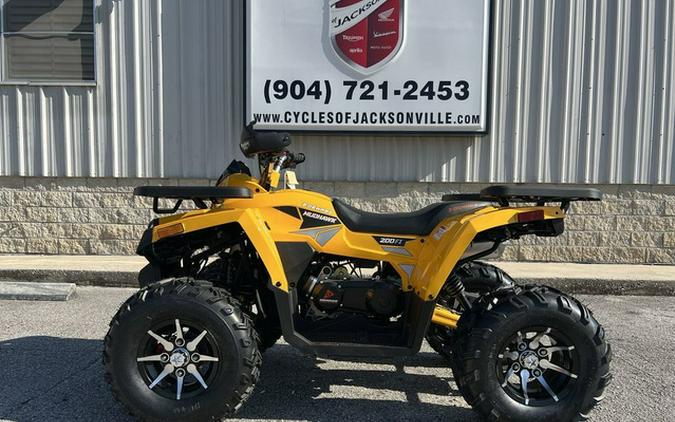 2025 Denago Powersports Mudhawk 200 FI