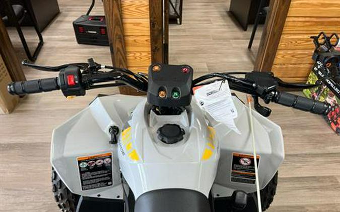 2024 Can-Am Renegade 110 EFI