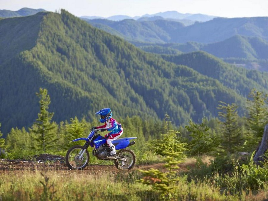2027 Yamaha TT-R125LE