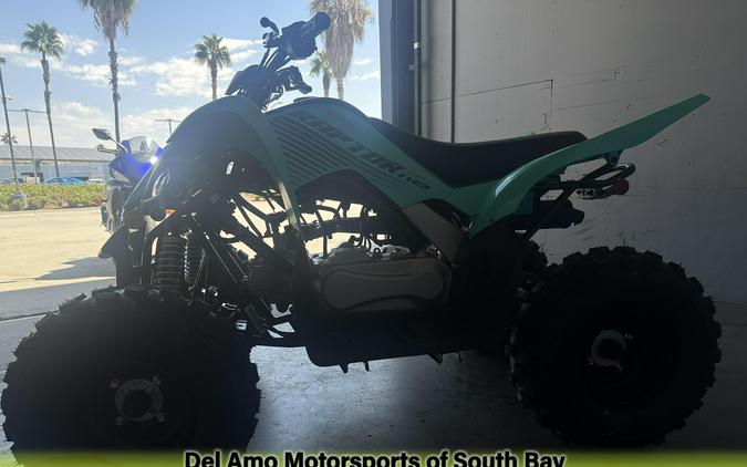 2025 Yamaha RAPTOR 110