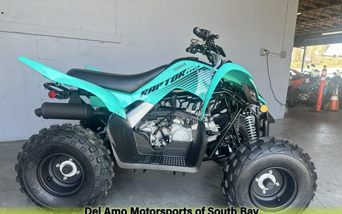 2025 Yamaha RAPTOR 110