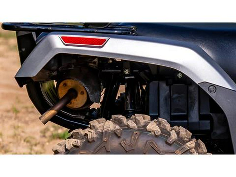 2025 Honda FourTrax Rubicon 700 4x4 Automatic