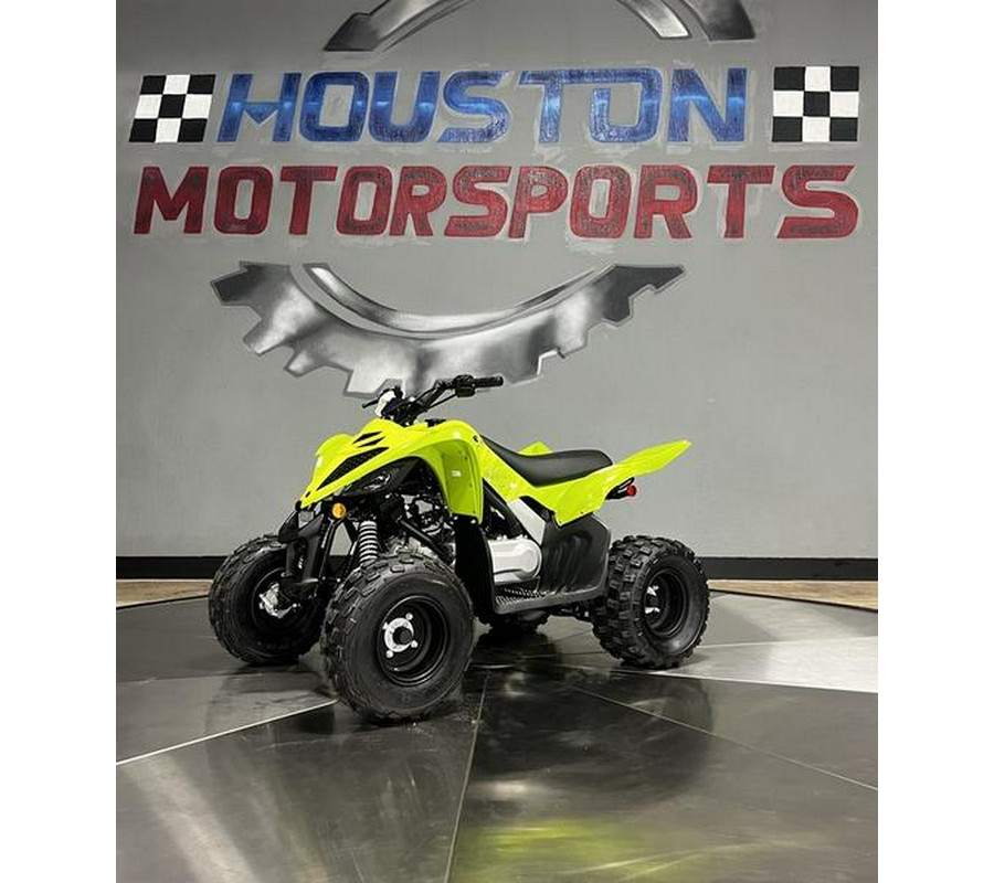 2026 Yamaha Raptor 110