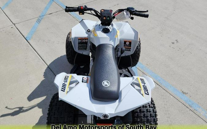 2024 Can-amt RENEGADE 110 EFI