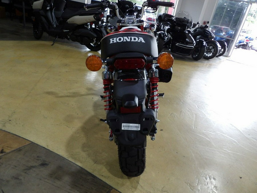 2024 Honda Monkey