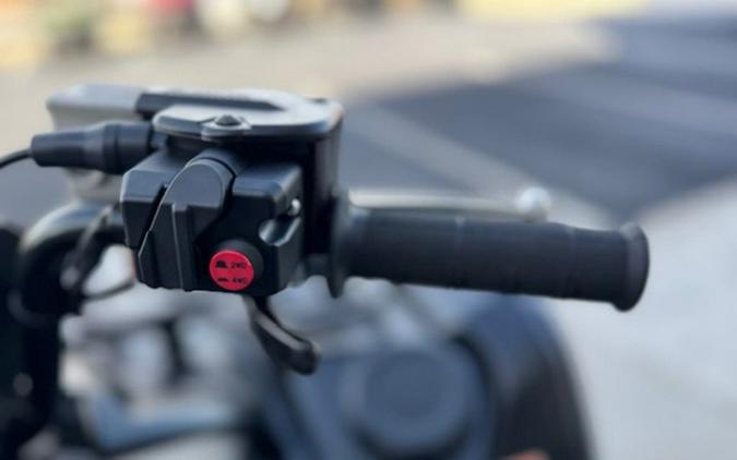 2026 Yamaha Grizzly EPS XT-R