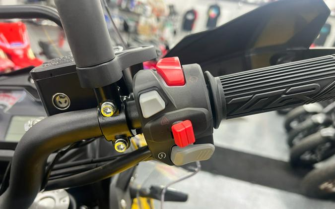 2024 Benelli TRK 502 X