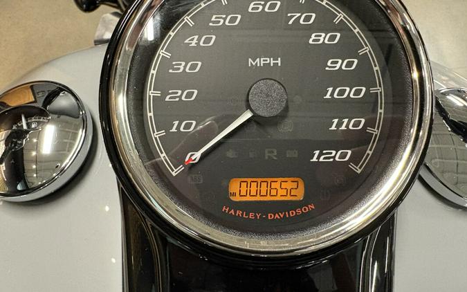 2024 Harley-Davidson® Freewheeler® Billiard Gray