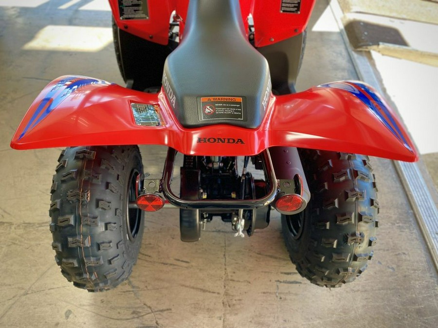 2024 Honda® TRX90X