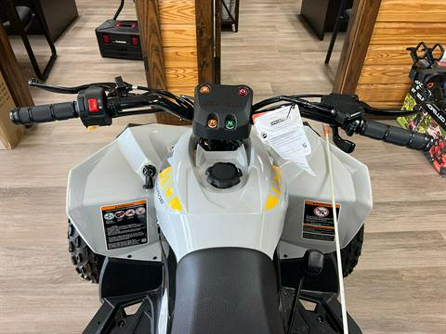 2024 Can-Am Renegade 110 EFI