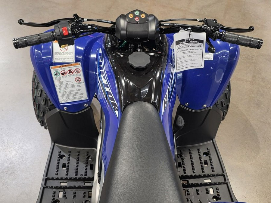 2026 Yamaha Raptor 110