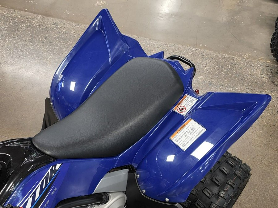 2026 Yamaha Raptor 110