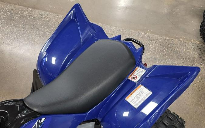 2026 Yamaha Raptor 110