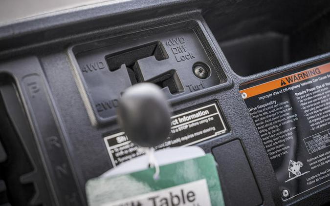 2025 Honda® Pioneer 1000-6 Deluxe Crew TrueTimber Atera Camo