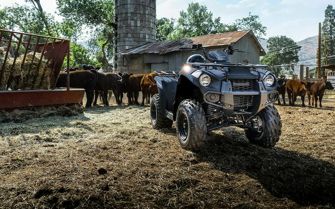 2024 Kawasaki Brute Force 300