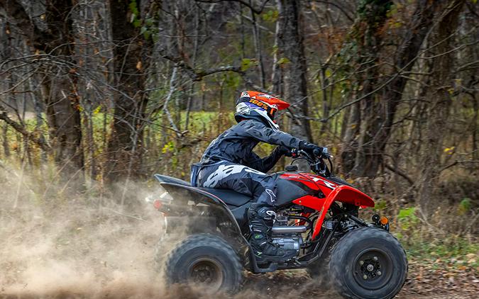 2024 Honda TRX250X