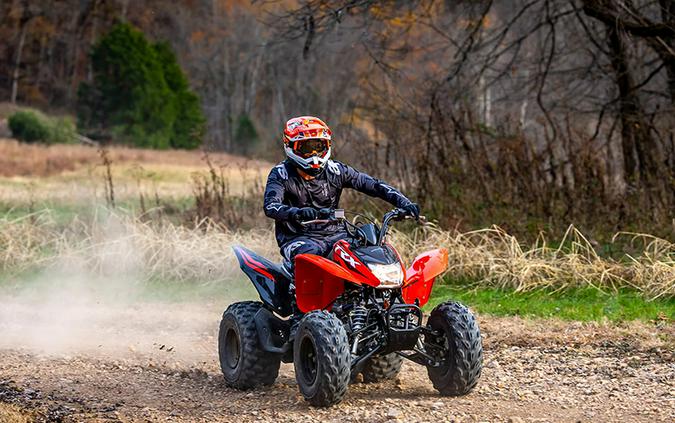 2024 Honda TRX250X