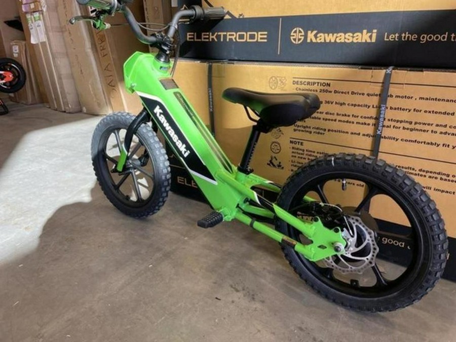 2023 Kawasaki Elektrode