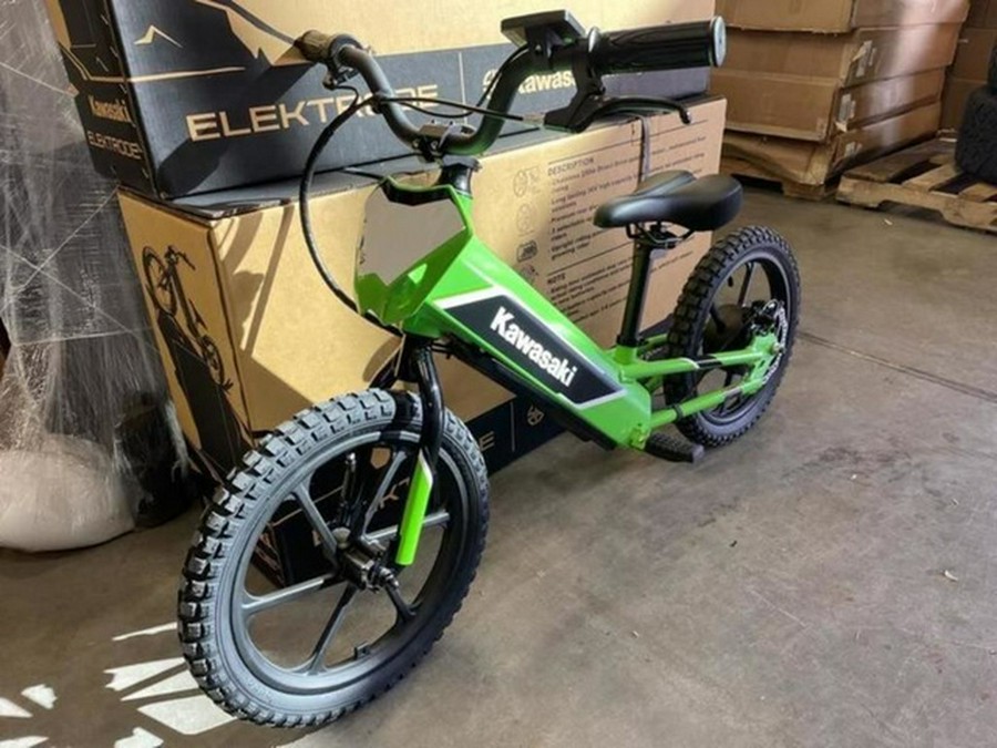 2023 Kawasaki Elektrode