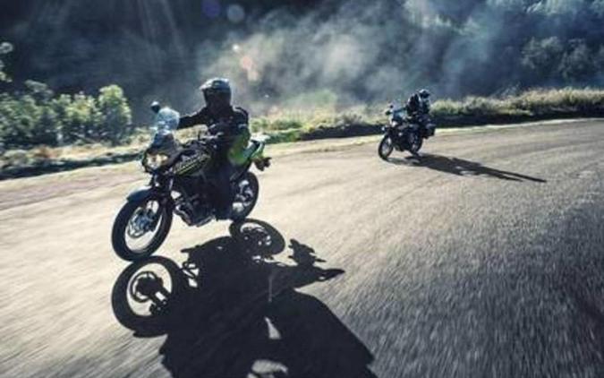 2019 Kawasaki Versys®-X 300