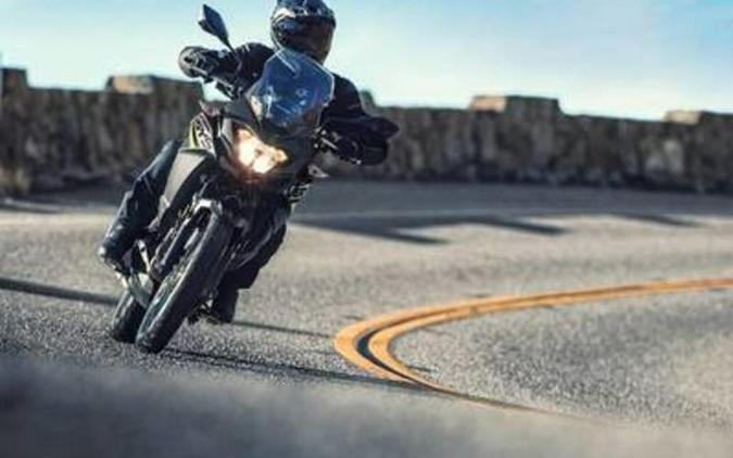 2019 Kawasaki Versys®-X 300