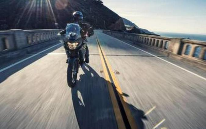 2019 Kawasaki Versys®-X 300