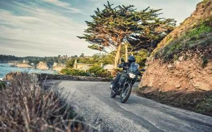 2019 Kawasaki Versys®-X 300