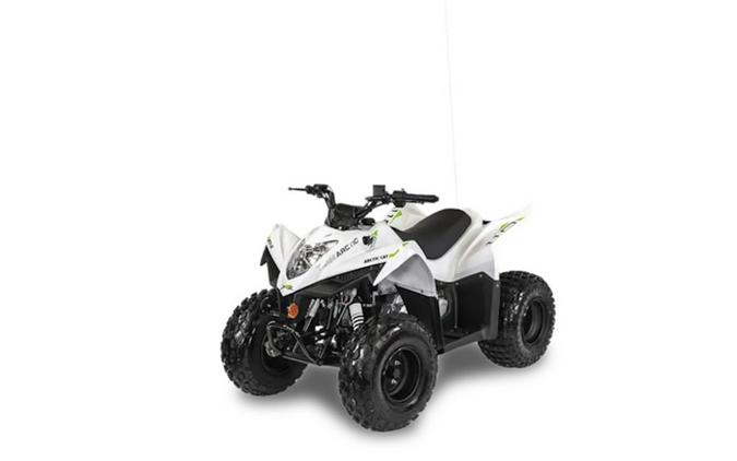 2027 Arctic Cat® Alterra 110