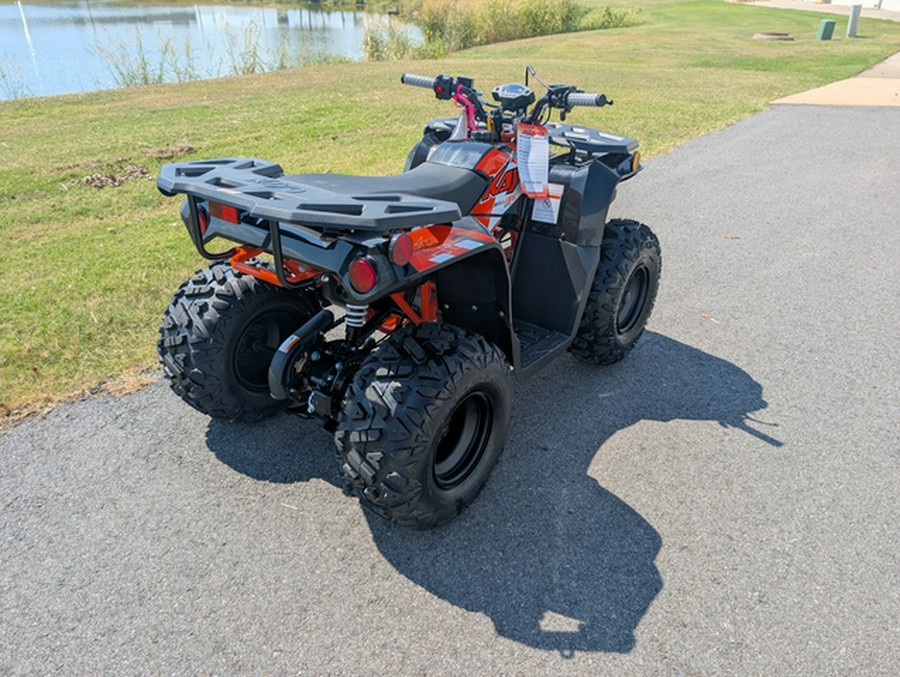 2026 Kayo Bull 125 EFI