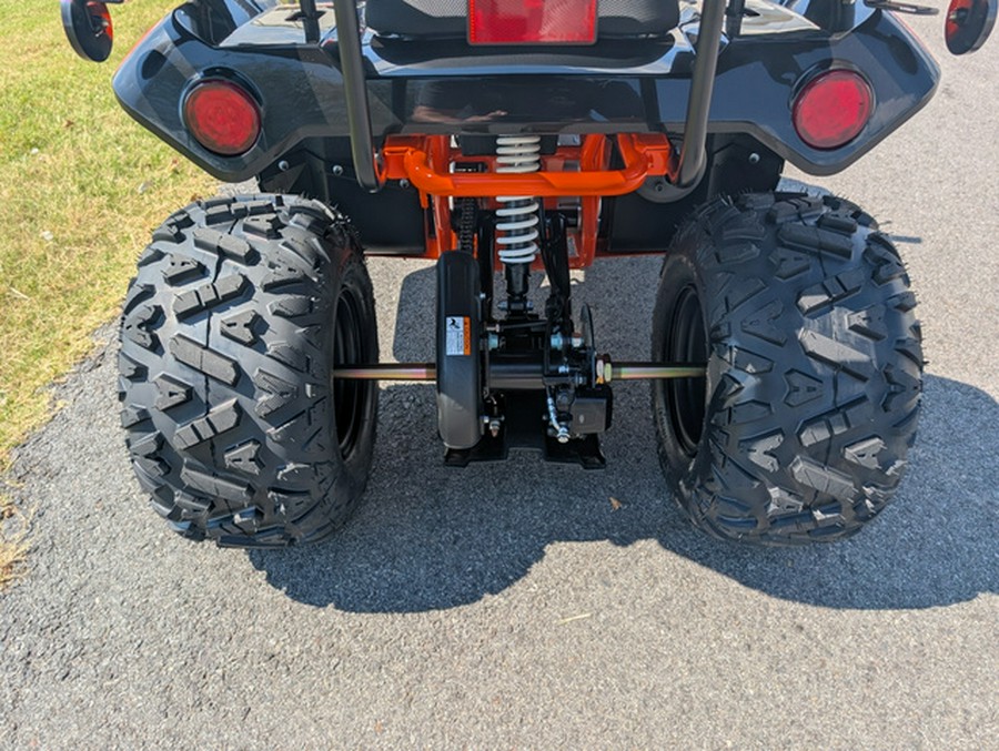 2026 Kayo Bull 125 EFI