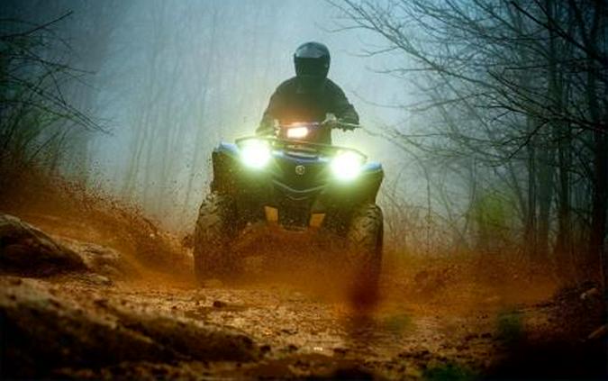 2016 Yamaha Grizzly EPS