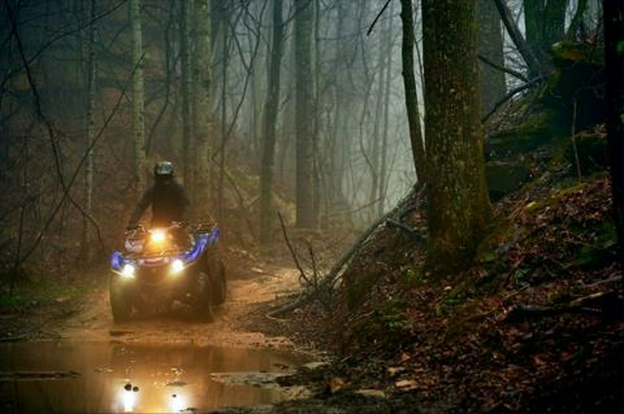 2016 Yamaha Grizzly EPS