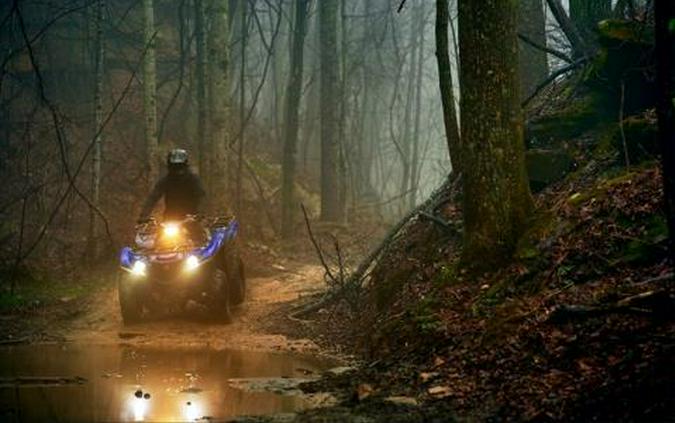2016 Yamaha Grizzly EPS