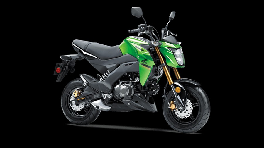 2024 Kawasaki Z125 PRO