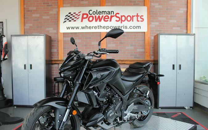 2024 Yamaha MT 03